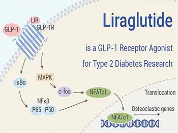 What Defines High-Quality Liraglutide Powder for API Manufacturing?