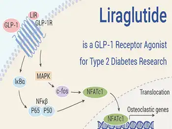 What Are the Core Physicochemical Properties of Liraglutide Powder?