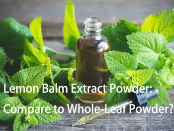 Lemon Balm Extract Powder: How Does It Compare to Whole-Leaf Powder?