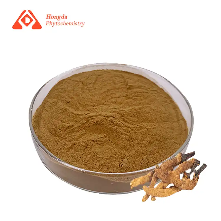 Cordyceps Sinensis extract poeder